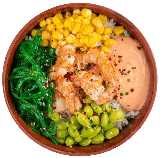 food bowl